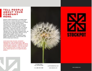 No Room For Darkness