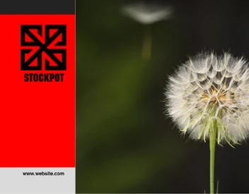 No Room For Darkness