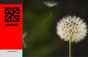 No Room For Darkness