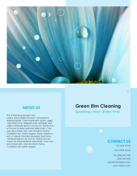 Green Cleaning