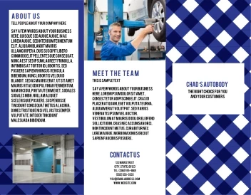 Blue Chex Automotive