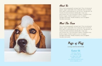 Loving Care for All Animals