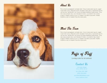 Loving Care for All Animals