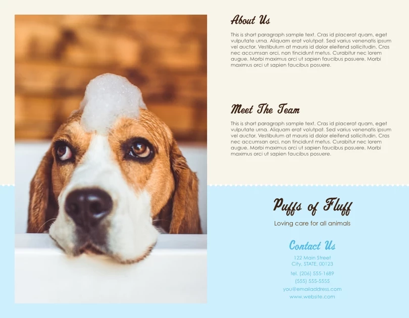 Loving Care for All Animals