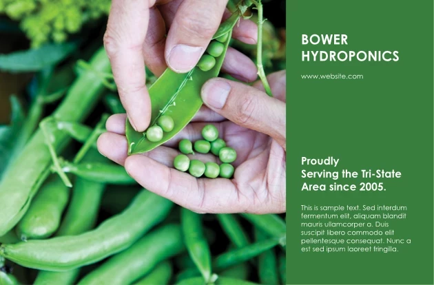 Peas Farms
