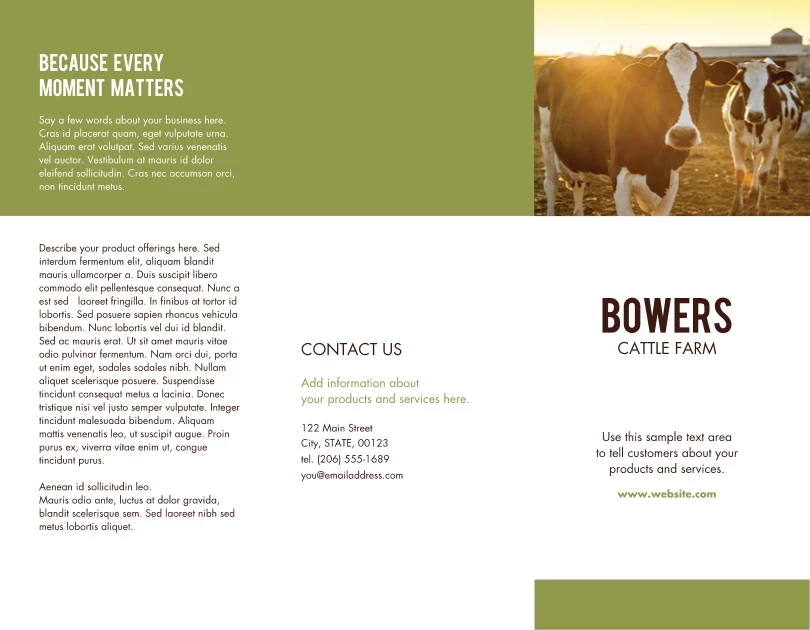 Cow Farm