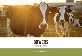 Cow Farm