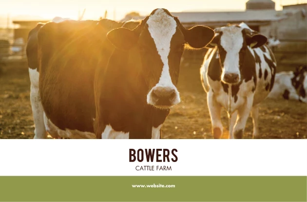 Cow Farm
