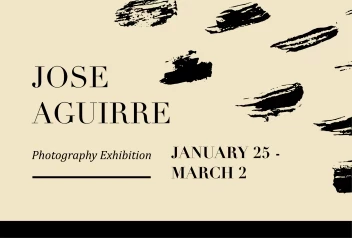 B and W Brush Stroke