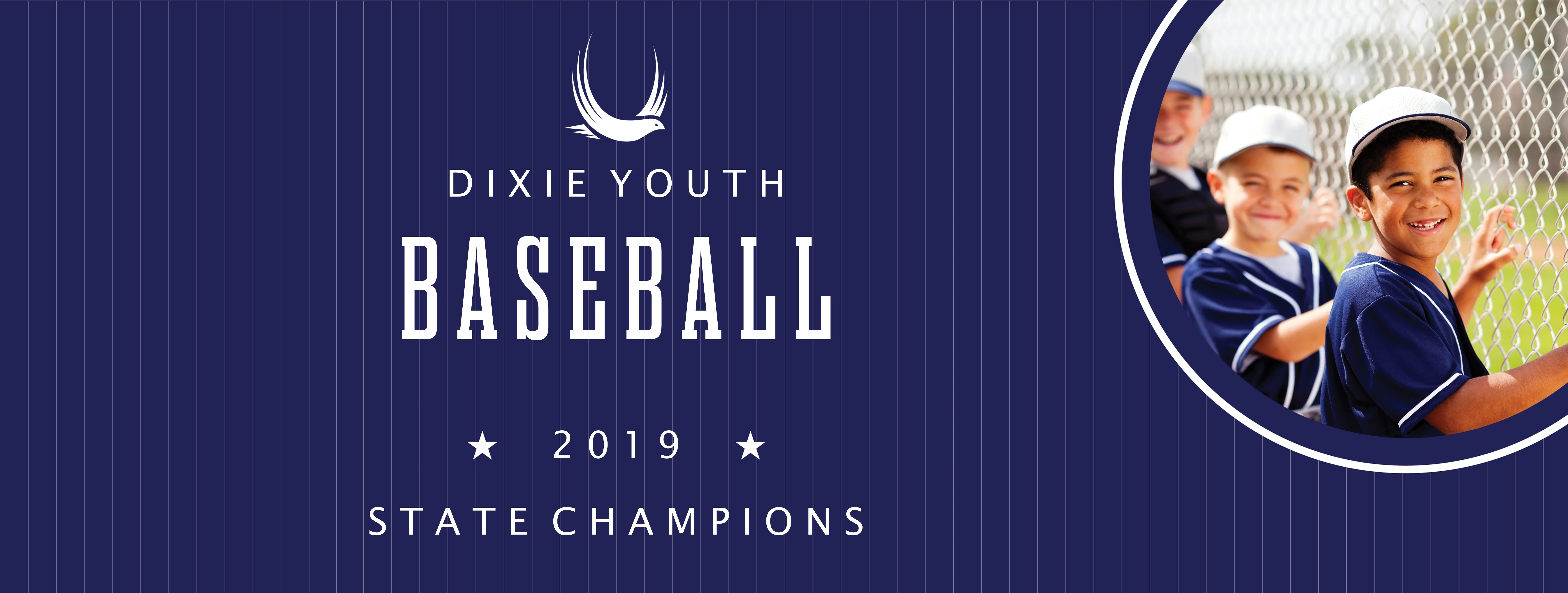 Baseball Youth