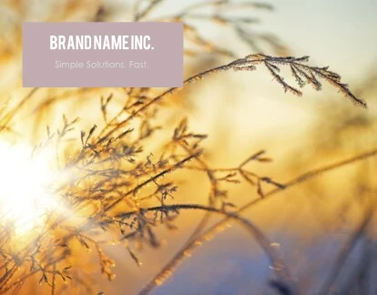 Light Purple Bracket