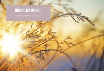 Light Purple Bracket