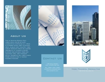 Financial Consulting