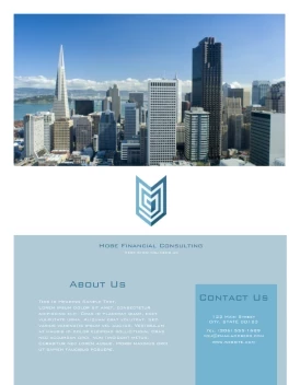 Financial Consulting