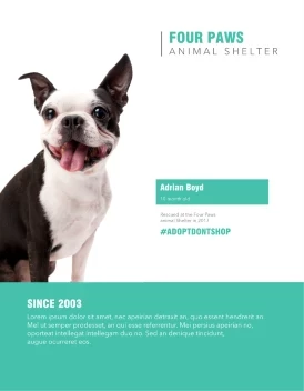 Animal Shelter