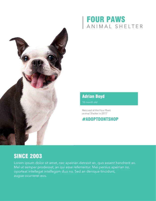 Animal Shelter