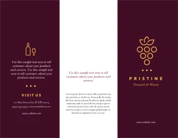 Winery Grape Illustration