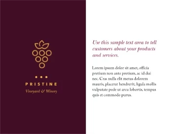 Winery Grape Illustration