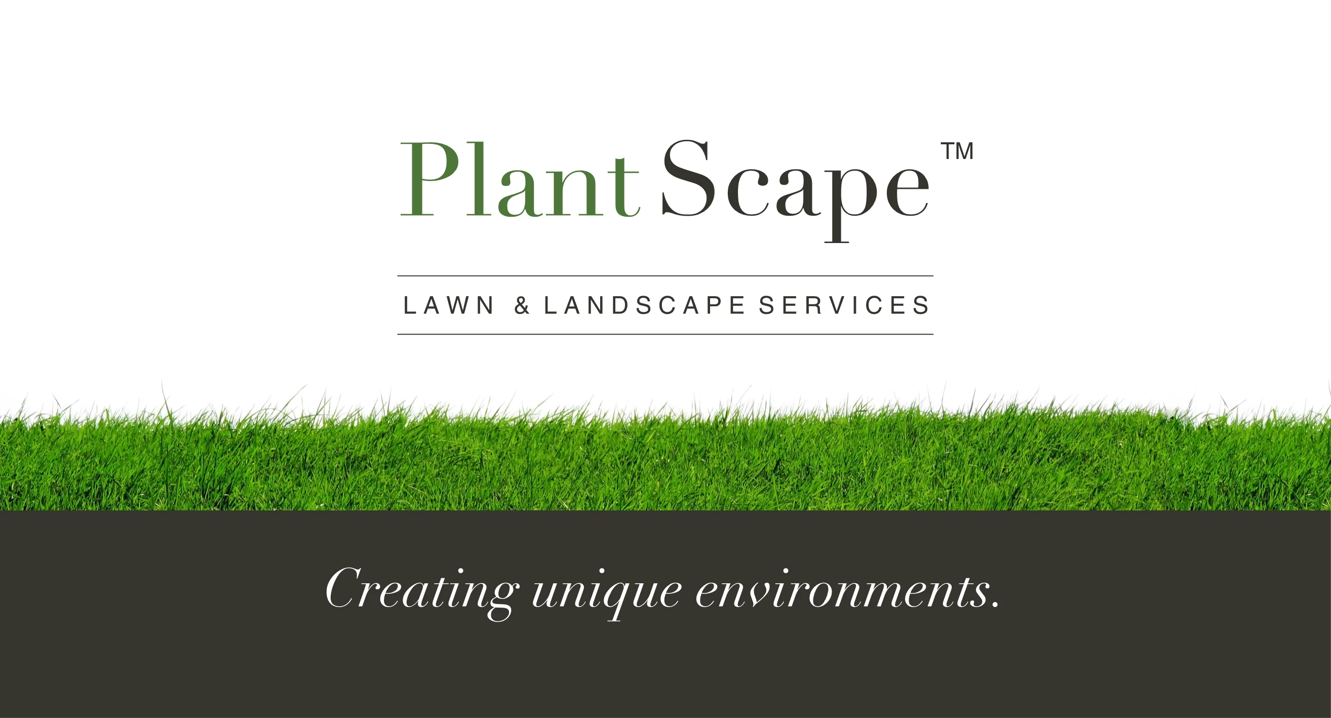 Lawn Border