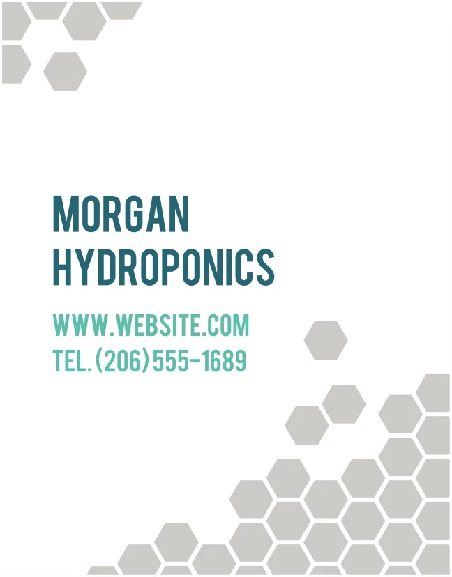 Hexagons