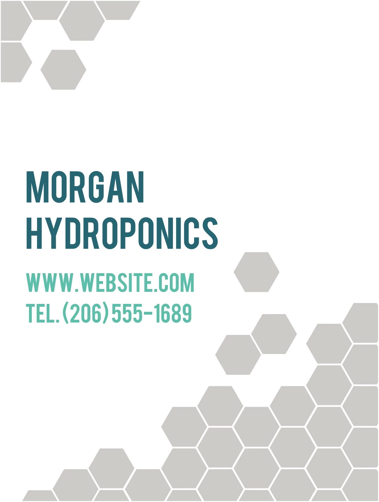 Hexagons