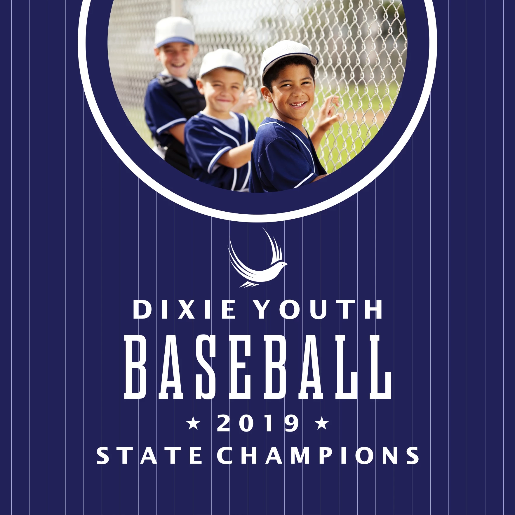 Baseball Youth