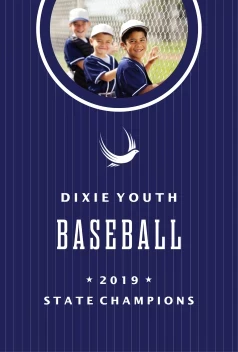 Baseball Youth