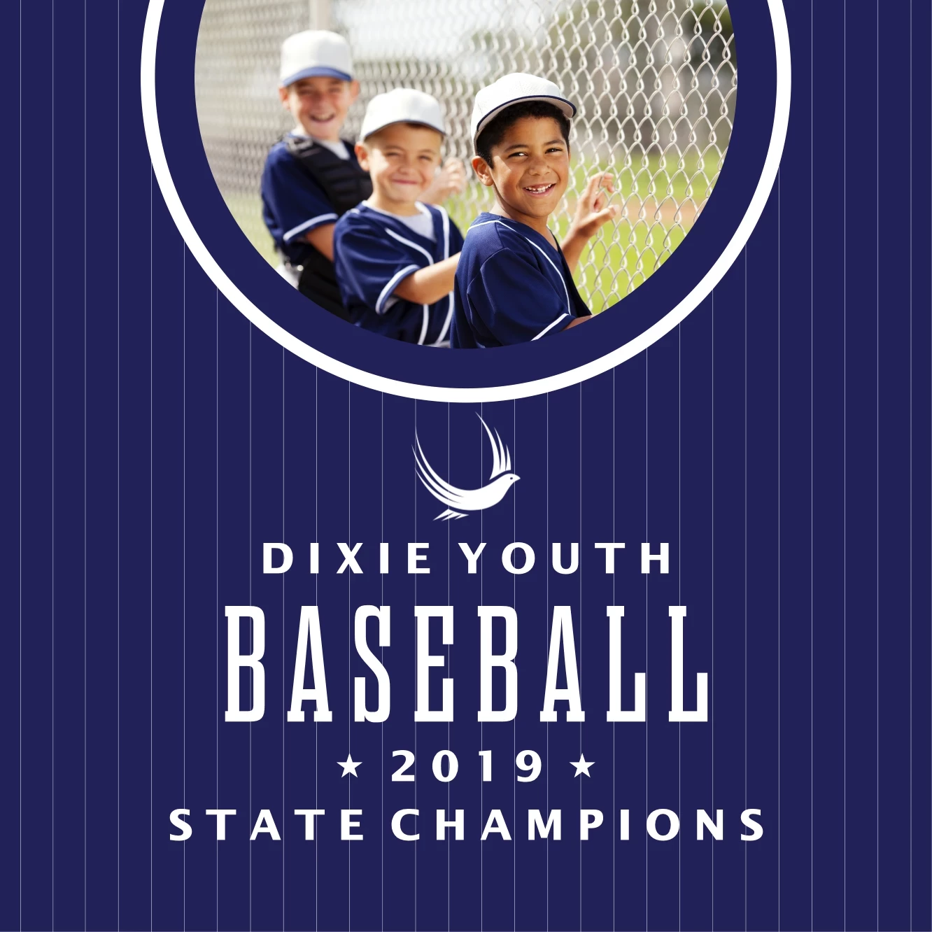 Baseball Youth