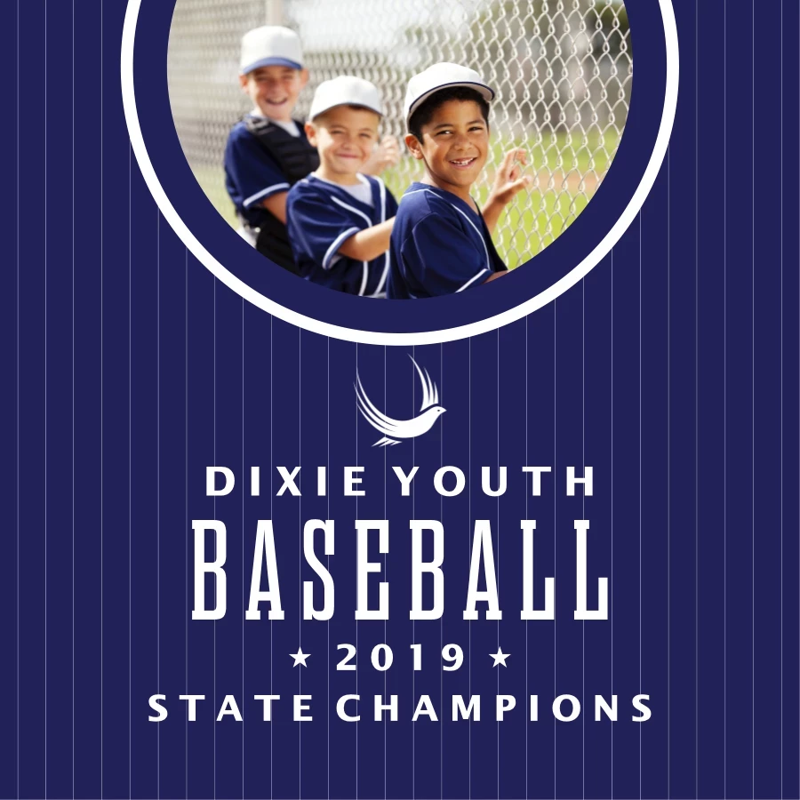 Baseball Youth