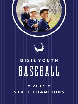 Baseball Youth