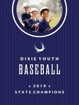 Baseball Youth