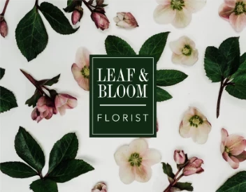 Florist Light Photos Flowers