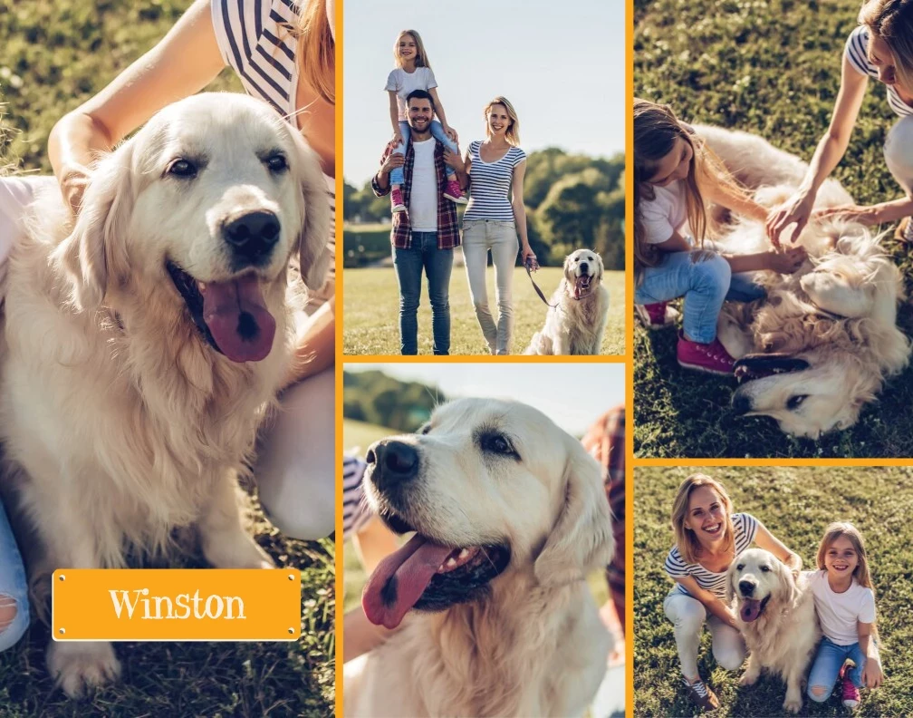 Pet Name Tag