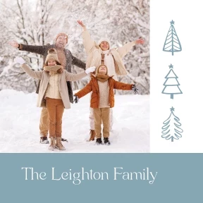 Modern Holiday Trees