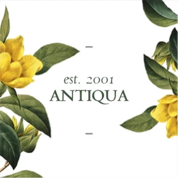 Hibbertia Flower Pattern