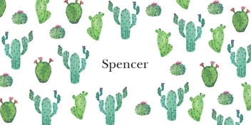 Cactus Pattern