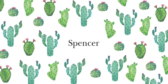 Cactus Pattern