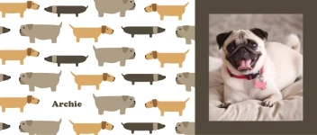 Dog Pattern