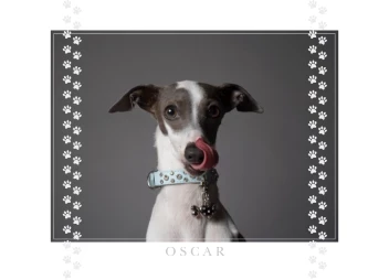 Portrait & Footprints