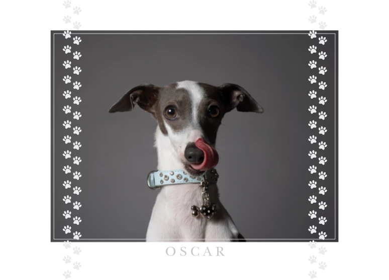 Portrait & Footprints