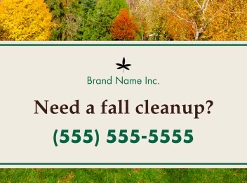Fall Lawn Care