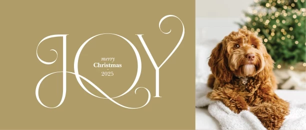 Fancy Christmas Joy