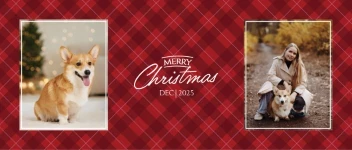 Love Christmas Plaid