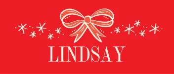 Whimsical Christmas Bow