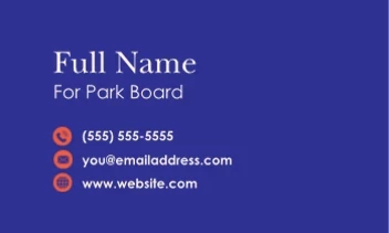 Local Government Stars