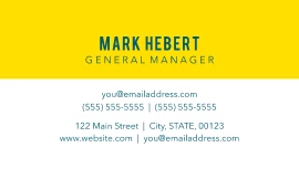 Vibrant Travel Packages