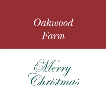 Christmas Tree Farm