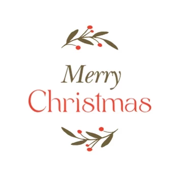 Holiday Photo Sessions