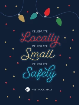 Holiday Lights Celebrate Safe