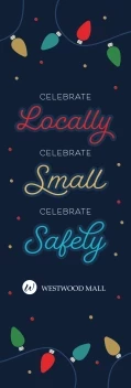 Holiday Lights Celebrate Safe